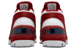 Кроссовки Nike Air Zoom Generation "First Game" 2023