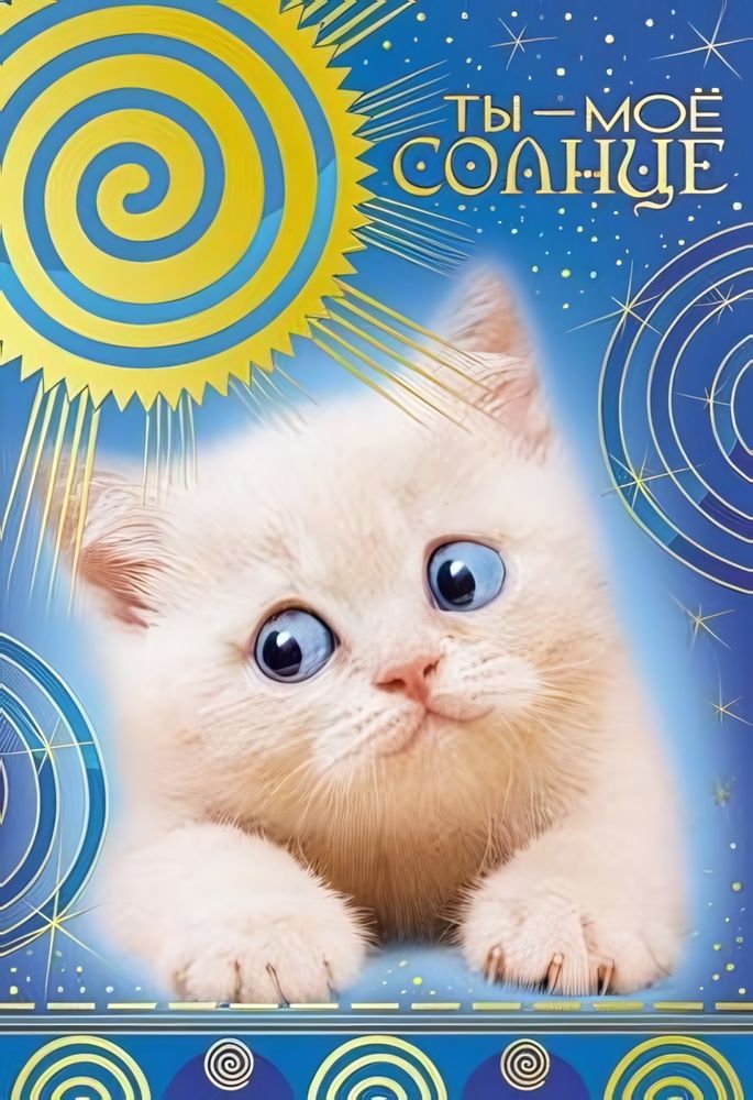 Открытка "Ты - мое солнце" 12*18 см (Сфера) Открытка "Ты - мое солнце" 12*18 см (Сфера)