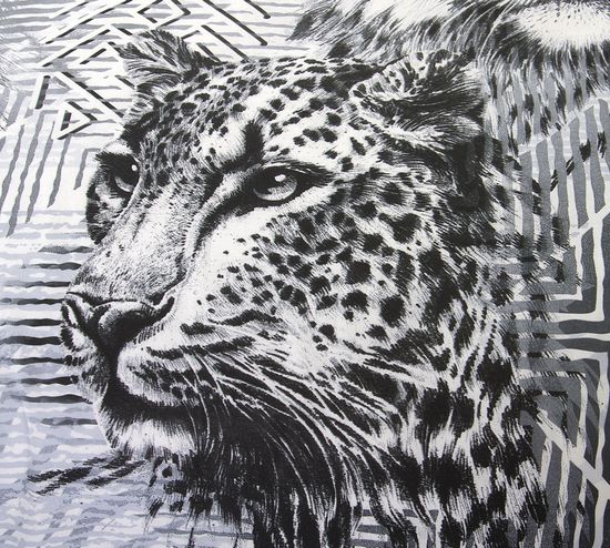 Двуспальный комплект постельного белья Книга Джунглей поплин