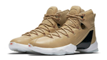 Заказать Nike LeBron 13 Elite EXT LB Linen