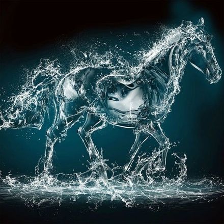 Аква 04 Конь