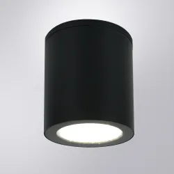 Уличный потолочный светильник Arte Lamp