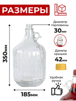 Бутылка для домашних напитков "Дария" 5 литров, 2 шт.