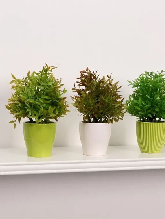 Бонсай "Кустовой" 7*18 см МИКС