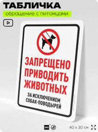 Табличка "Запрещено приводить животных" на дверь и забор, для двора, дома, подъезда, 40х30 см, Silver Plane x Айдентика Технолоджи