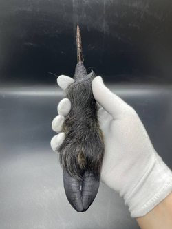 Обсидиановый нож с рукоятью копыта вепря 25 см