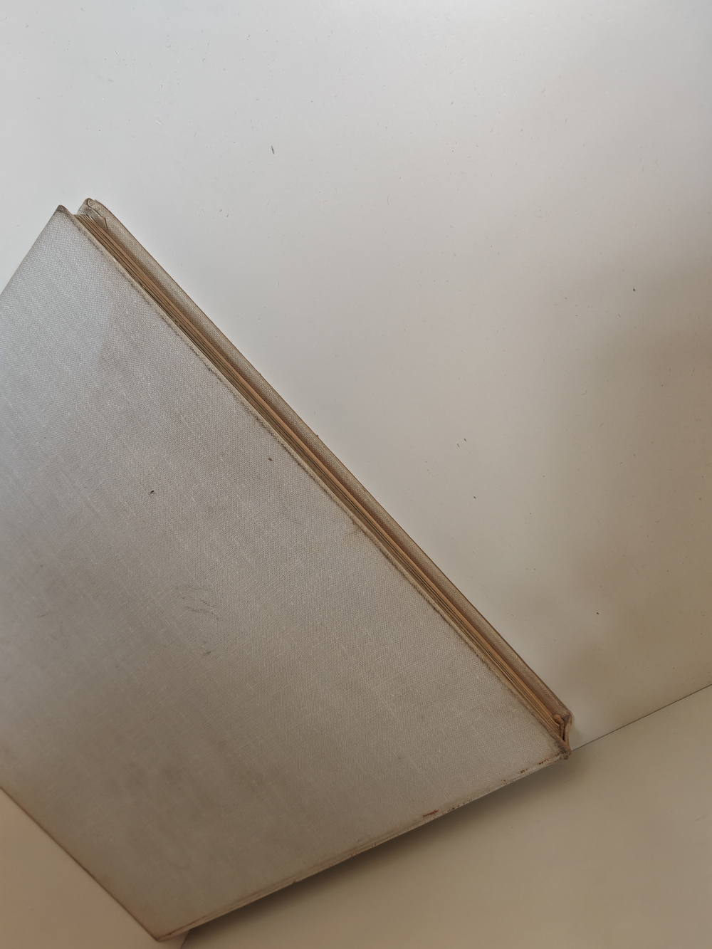 Фото-приключения