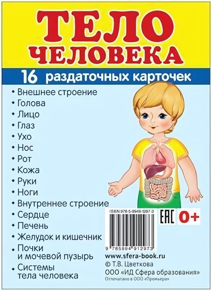 Карточки развивающие супер &quot;Тело человека&quot; 16 раздаточных карточек с текстом на обороте, учебно-мето