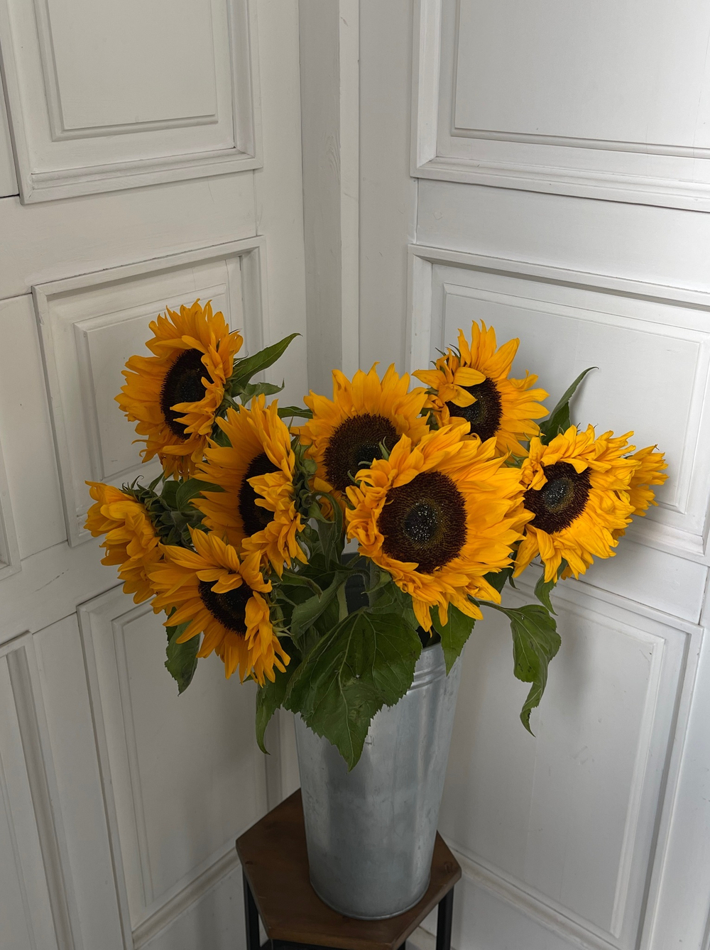 Подсолнух от 15 шт