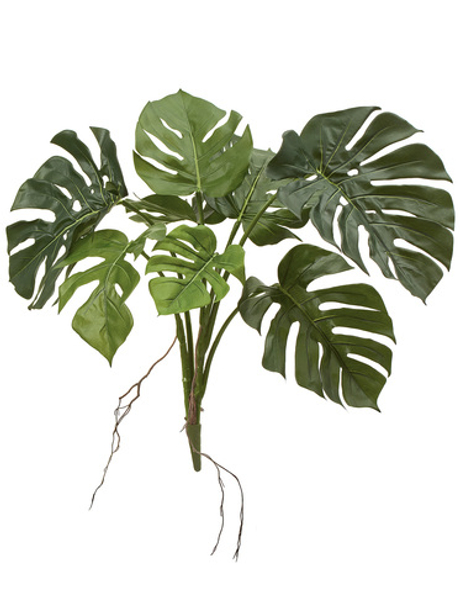 Монстера куст 70 см