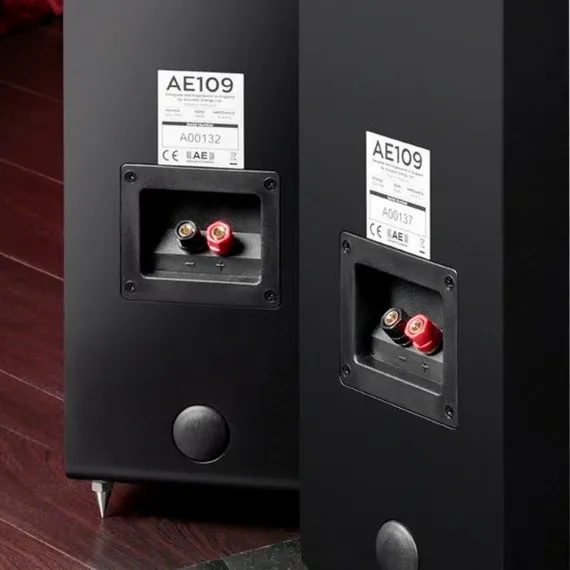 Acoustic Energy AE109 Satin Black