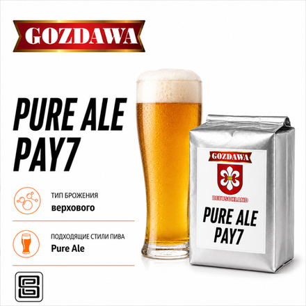 PURE ALE PAY7