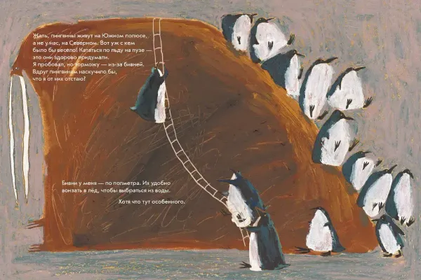 Морж как морж, ничего особенного