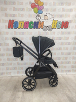 Коляска модульная Rant Basic Terra Black