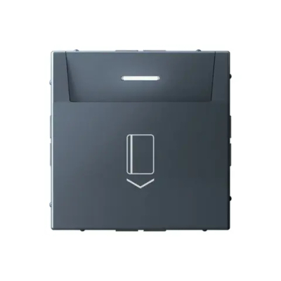 ARTGALLERY ВЫКЛЮЧАТЕЛЬ карточный 10А, без задержки времени, быстр.клемм., ГРИФЕЛЬ