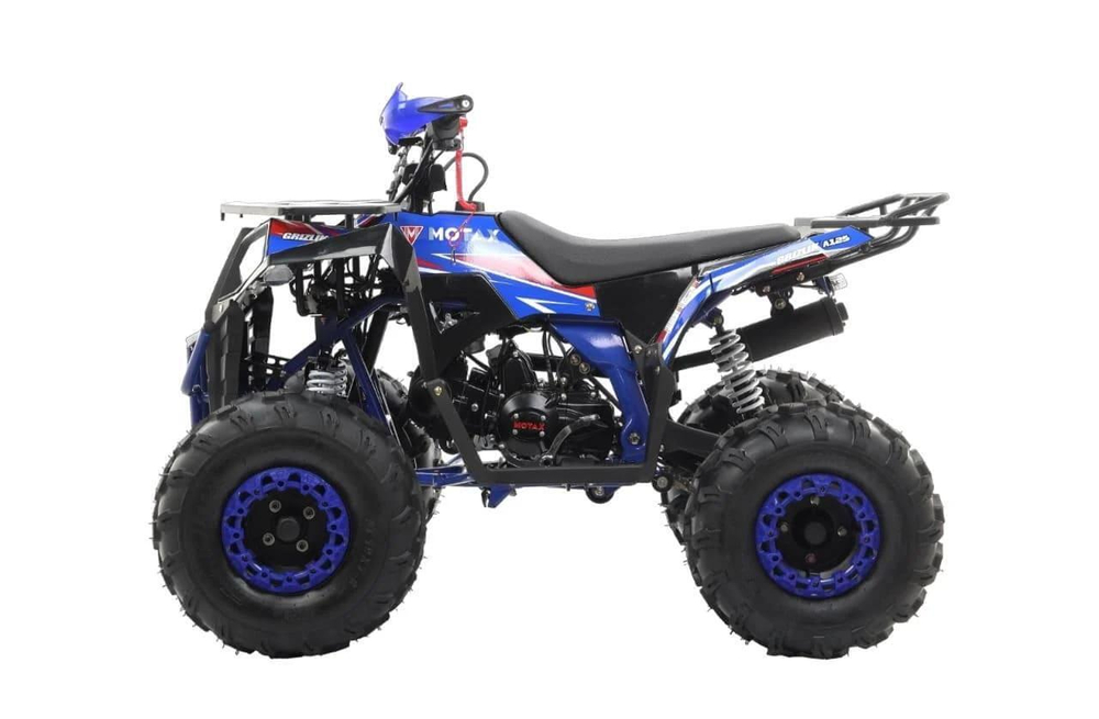 Квадроцикл MOTAX GRIZLIK A125