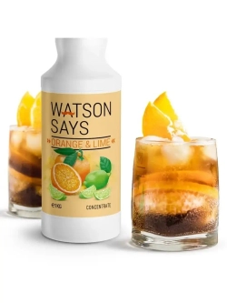 Основа для лимонадов и коктейлей WATSON SAYS Киви - Фейхоа 1кг