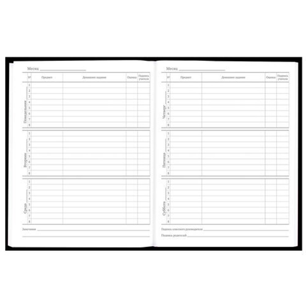 Дневник 5-11 класс 48 л., твердый, BRAUBERG, глянцевая ламинация, с подсказом, "Ты-Гы-Дык", 107184