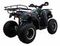 Квадроцикл ATV Classic 200 Lux