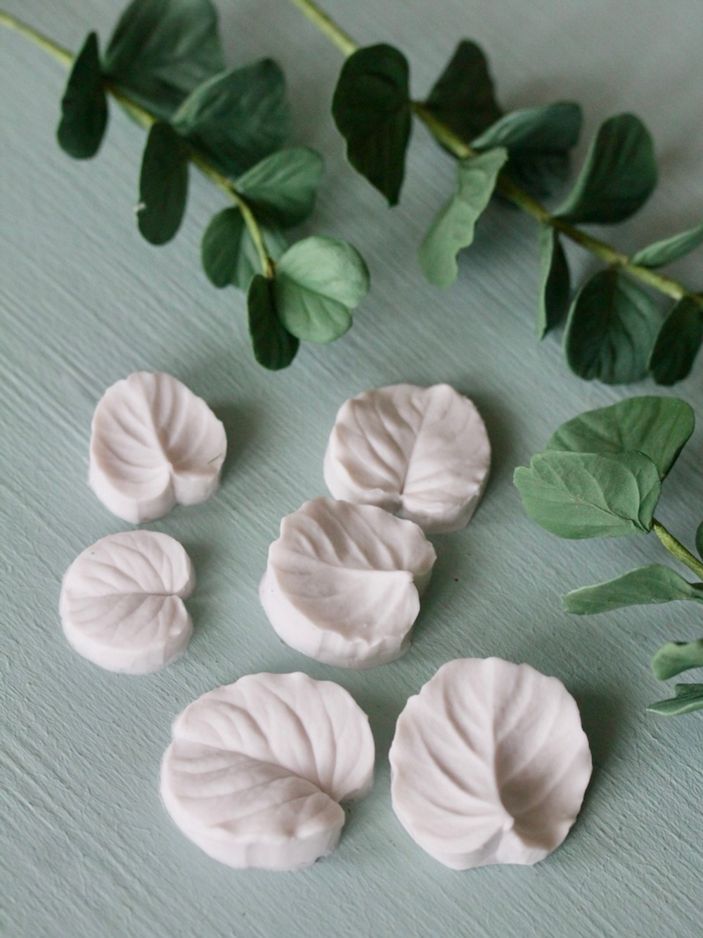 Набор вайнеров для лепки листьев эвкалипта Coprussia