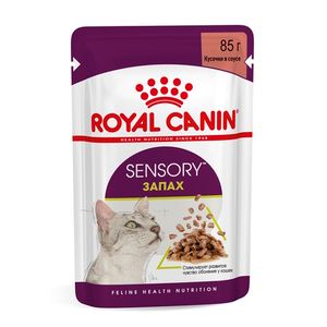 Консервированный полнорационный корм для взрослых кошек, Royal Canin Sensory smell, (в соусе)