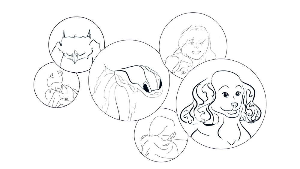 Концепт морфинга персонажа