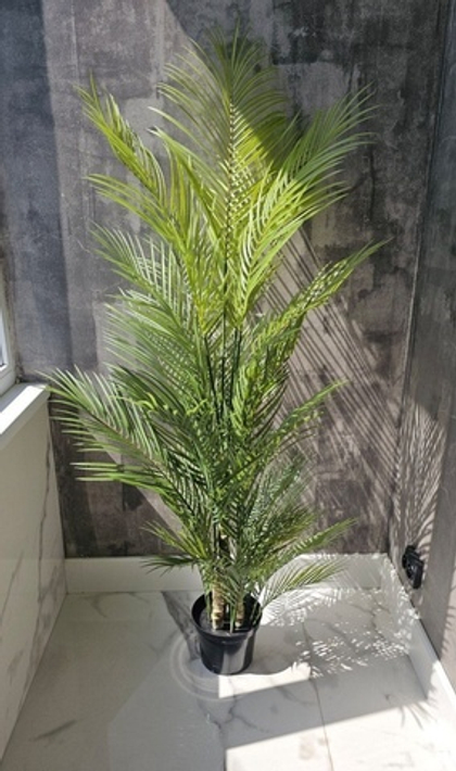 Пальма Арека 150 см