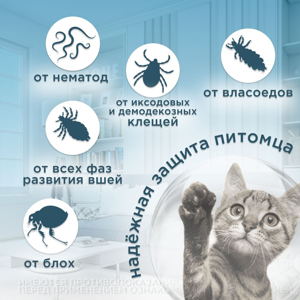 Таблетки от блох, клещей и гельминтов Inspector (Инспектор Квадро Табс) для собак и кошек 8-15кг (4 таблетки)
