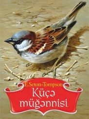 Küçə müğənnisi