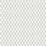 Small Prints Resource Library