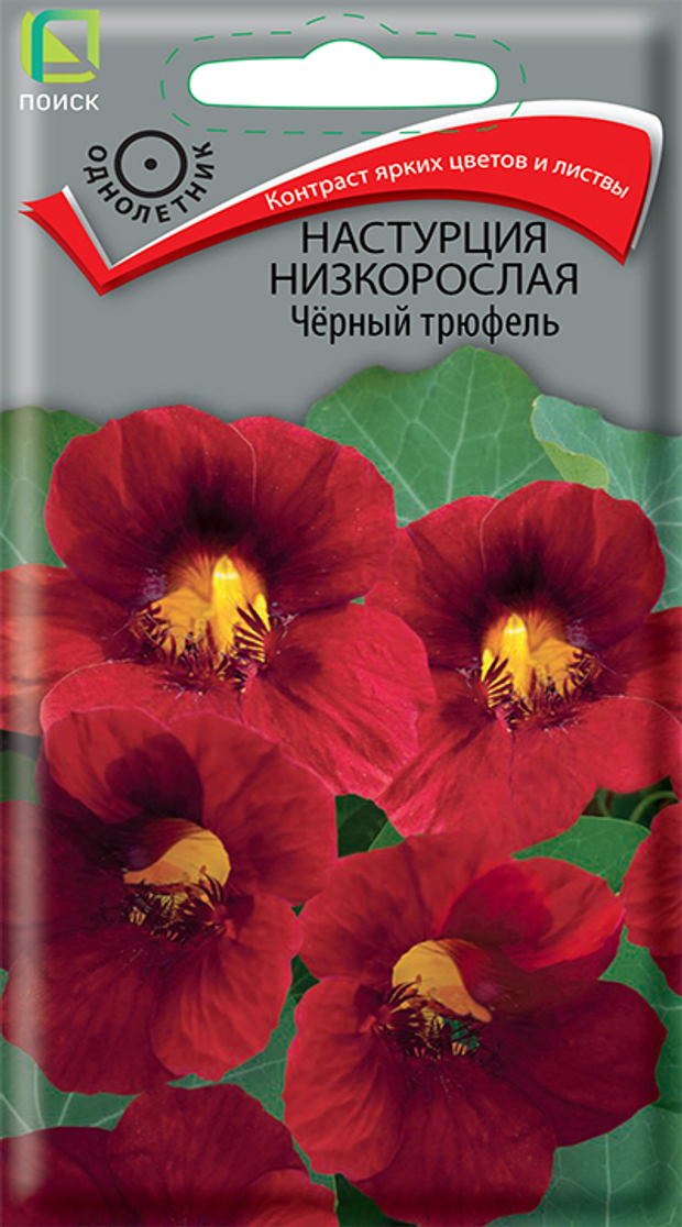 Настурция низкорослая Чёрный трюфель