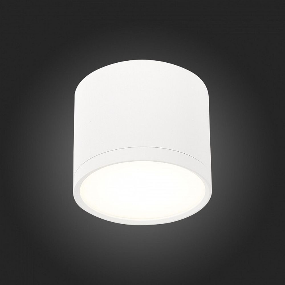 Накладной светильник ST-Luce Rene ST113.542.09