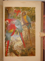 "Иллюстрированное издание " Жизнь животных " А.Э.Брэма в десяти томах". Альфред Эдмунд Брэм. 1896г.