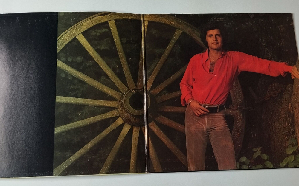 Винтажная виниловая пластинка LP Joe Dassin (Holland 1972) Salut Les Amoureux