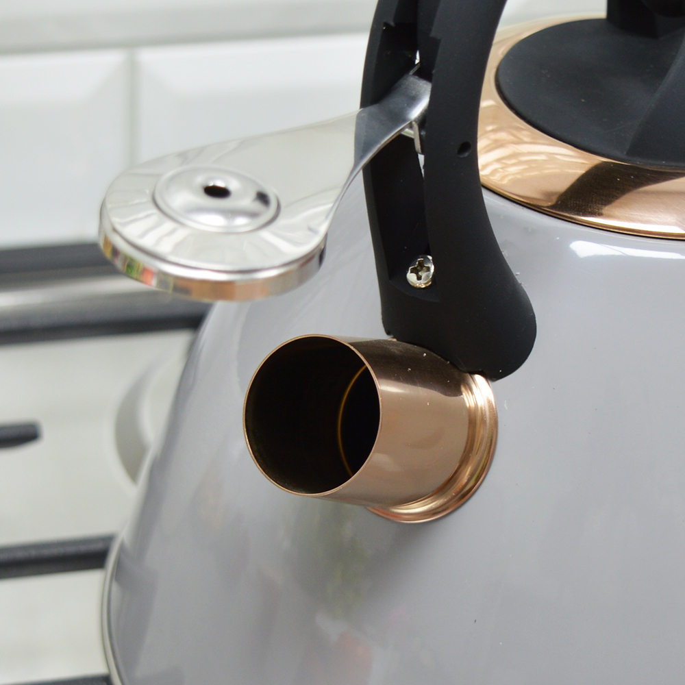 Чайник 2,7л со свистком нерж, индукция Agness