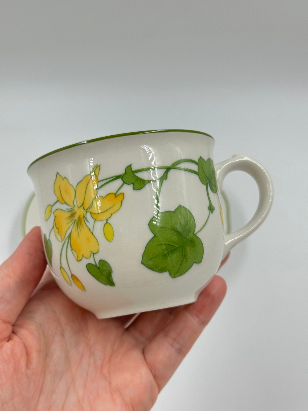 Чайная пара Villeroy & Boch, Geranium