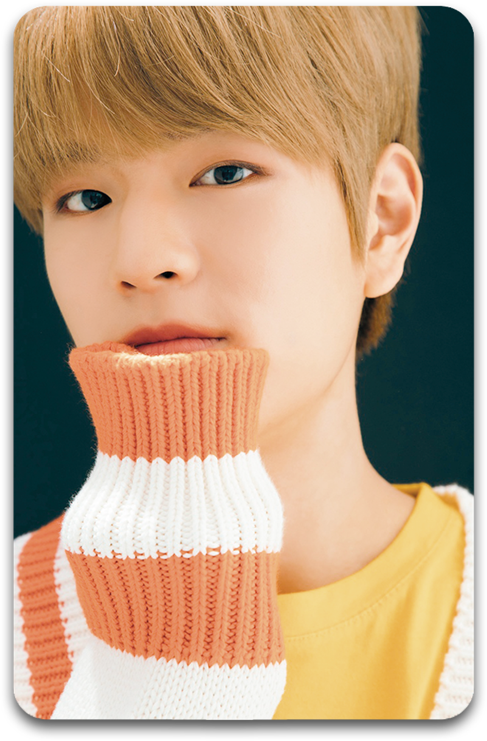 Карта / STRAY KIDS #3067