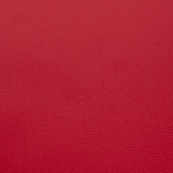 Искусственная кожа Grifon (Грифон) 08