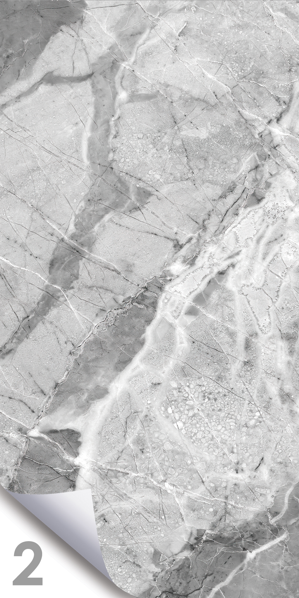 Сильвер Грэй