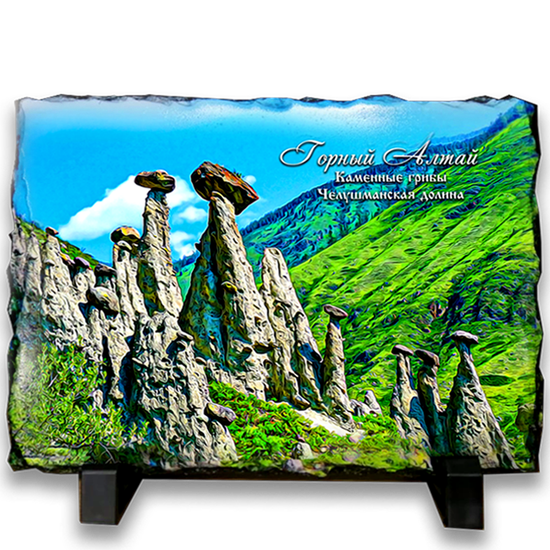 фотокамень 19*14 "Каменые грибы"