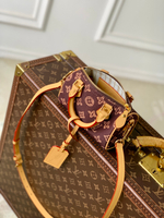 Louis Vuitton Nano Speedy