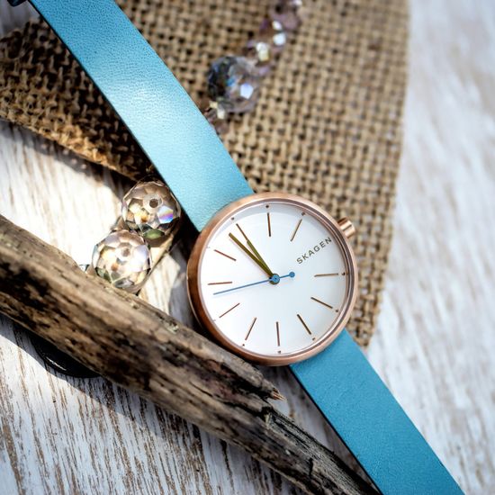 Женские часы Skagen SKW2621