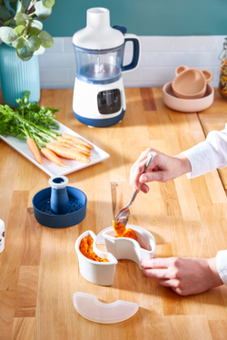 Универсальный набор 4 в 1 Moulinex Yummy Gourmet DD55W110, для детского питания