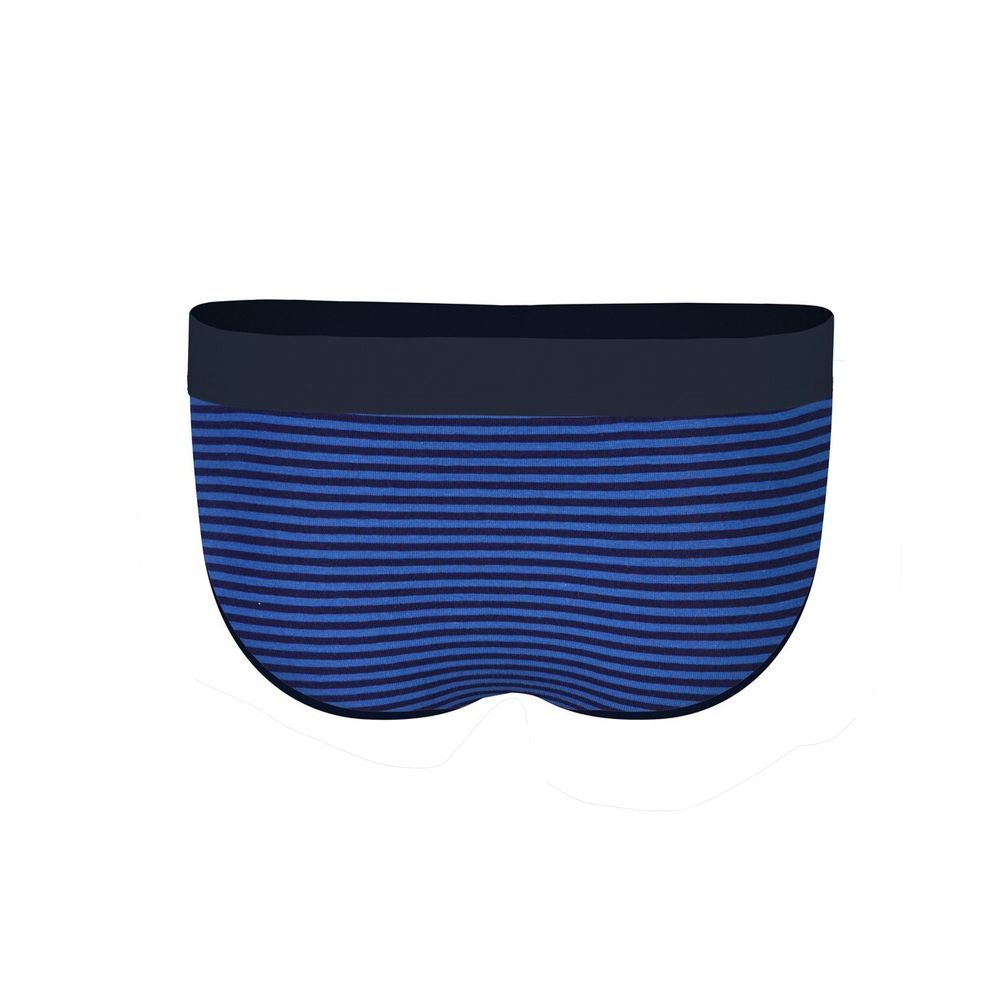 Мужские трусы брифы синие в полоску DARKZONE DZN6133