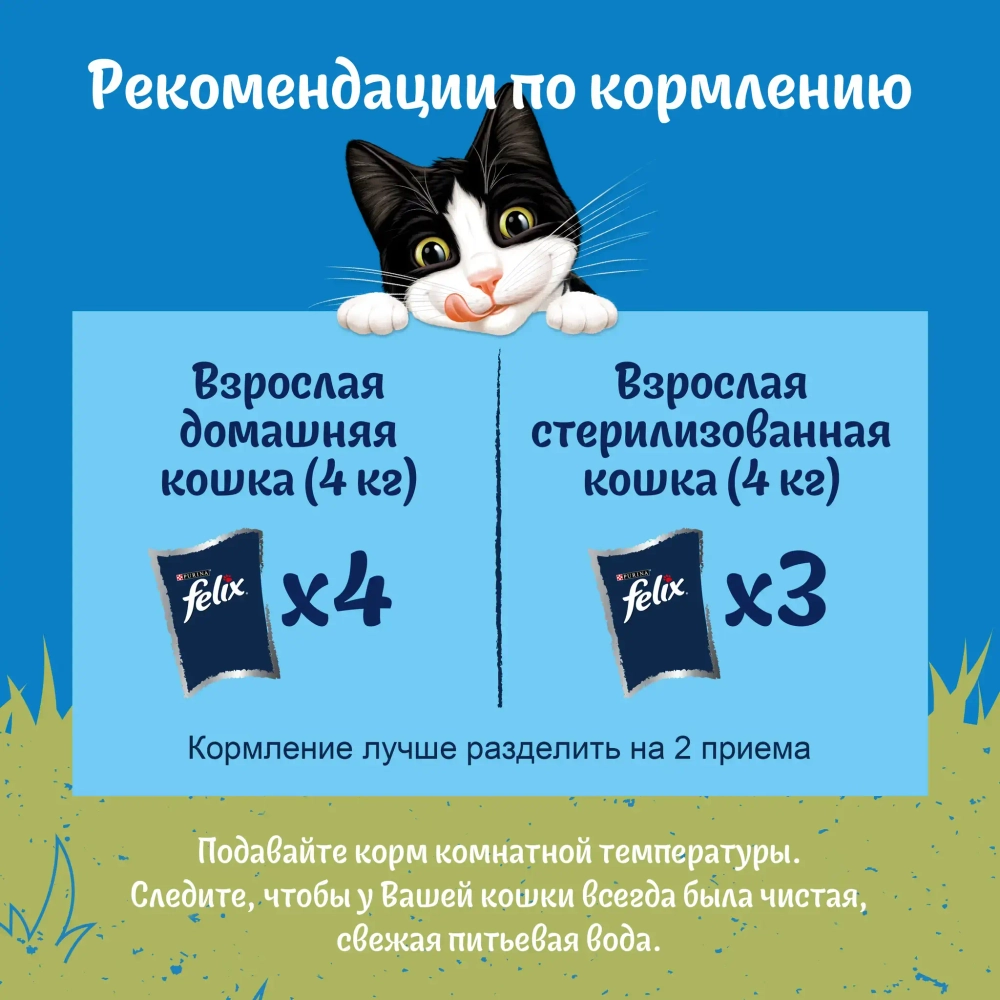 Природа вкуса говядина в соусе, 75г влажный корм для кошек Felix 75г