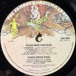 String Driven Thing ‎– Please Mind Your Head (Англия 1974г.)
