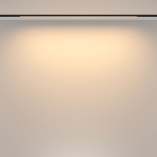 Трековый светильник Technical TR173-1-24WTW-B