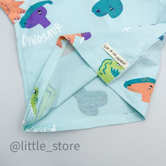 Футболка хлопковая "Мир динозавров" морозный шалфей