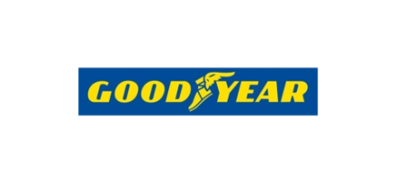Летняя шина Goodyear Eagle F1 Asymmetric 6 (305/40 R20 112Y)