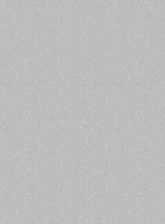 Аргус-фон-61 (бежевая)